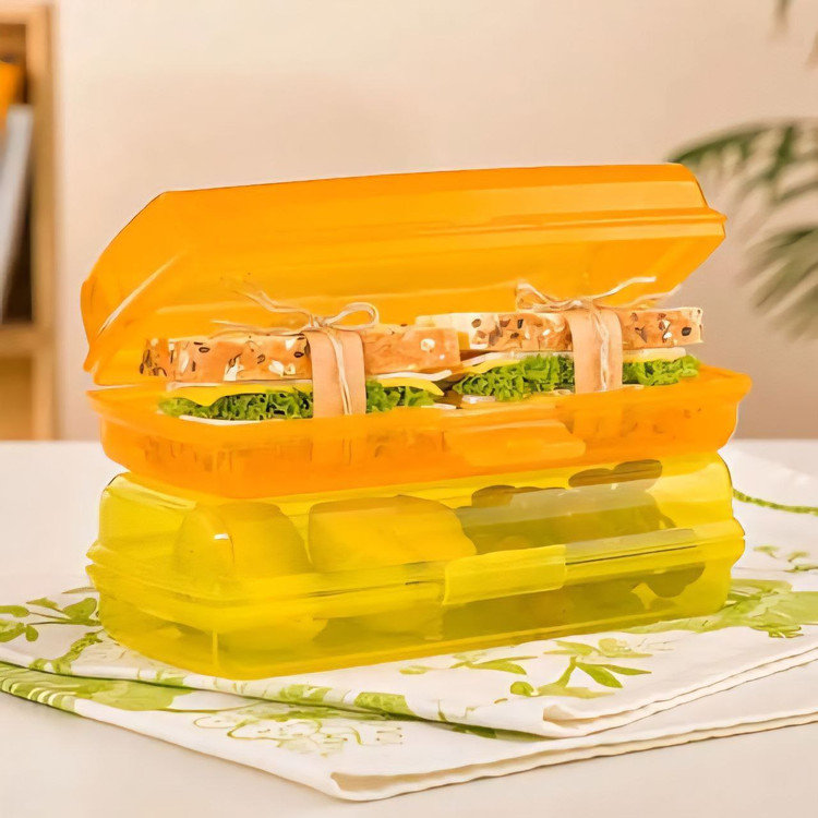 باکس ساندویچ چندرنگ مقاوم و سبک