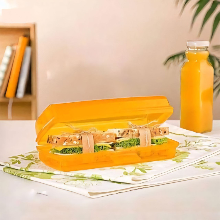 باکس ساندویچ چندرنگ مقاوم و سبک